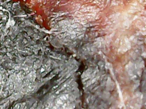 SPINE BASE HYDRO GEL PROGRESS (21)