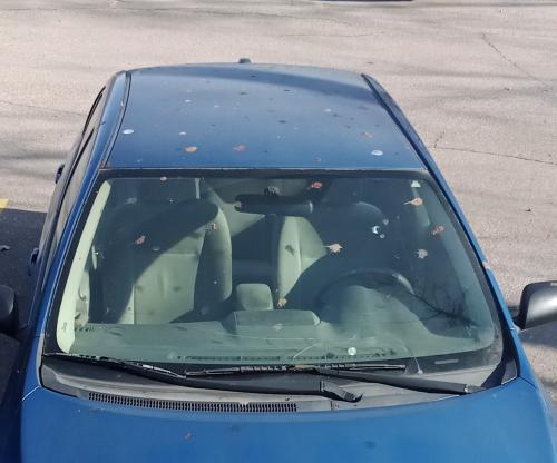 IMG_20250102_130634~2