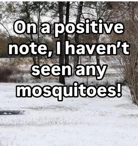 DEBBD75A-EF3D-439C-B558-FA5F51E3A23C