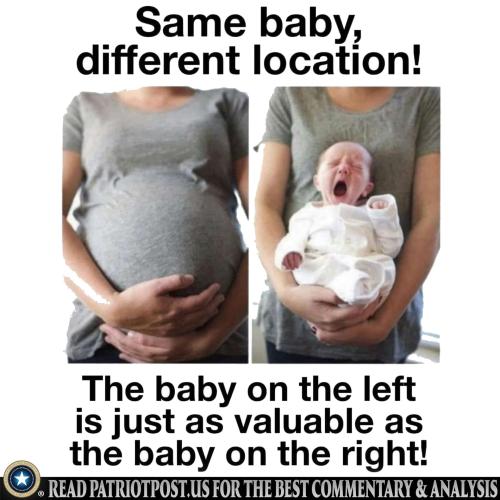 01GPMX7X09X78452Y8JVW8AZZR