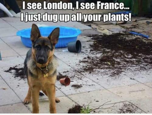 FB_IMG_1735724171275