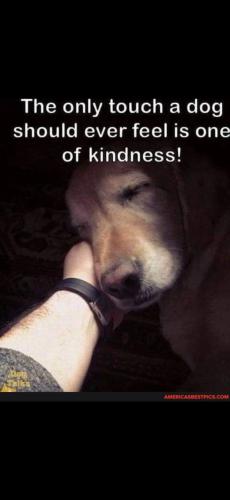 Screenshot_20250112_191235_Gallery