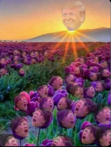 Screenshot 2025-01-20 080313