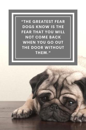 FB_IMG_1736774387092