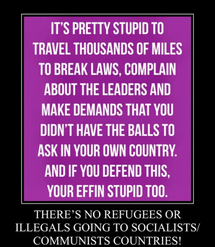 image_2025-01-31_083907485