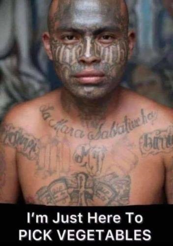 Screenshot_20250124-150534_Brave