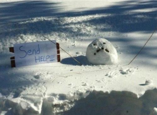 Screenshot_20250106_184406_Gallery