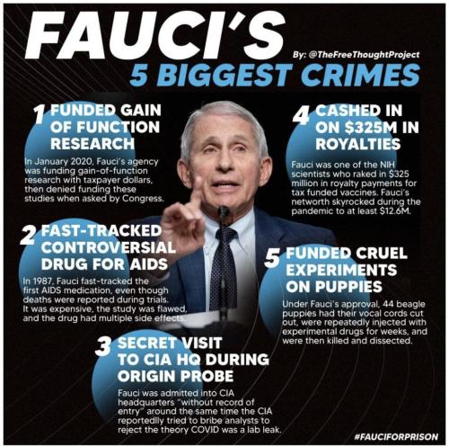 photo_2025-01-21_20-52-13