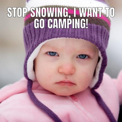 FB_IMG_1736451600266