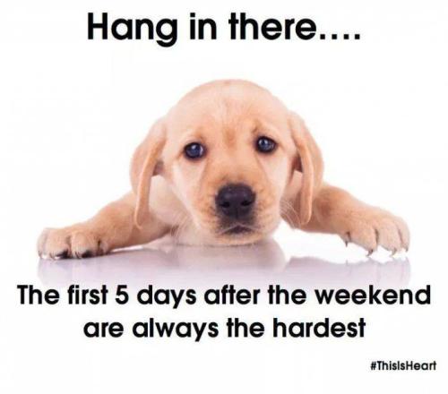 2d3b55c88b69b01f77228db3b9283485