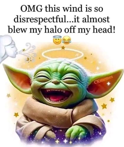 8e662f77-a6cf-42cb-99d2-48dd1e8e4ea5