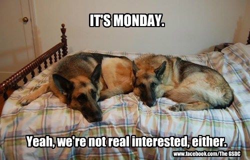 649e2fb39735e9fcf11f2f5f3394779f