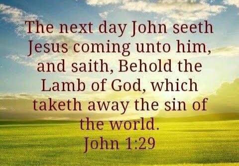 6cac9ce8-008e-4ba7-9dd0-38837621ed15