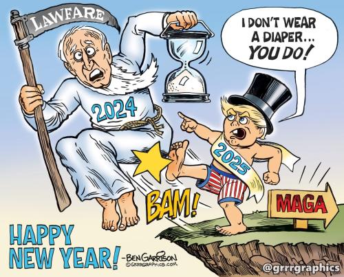new_year_toon_2024-1536x1239