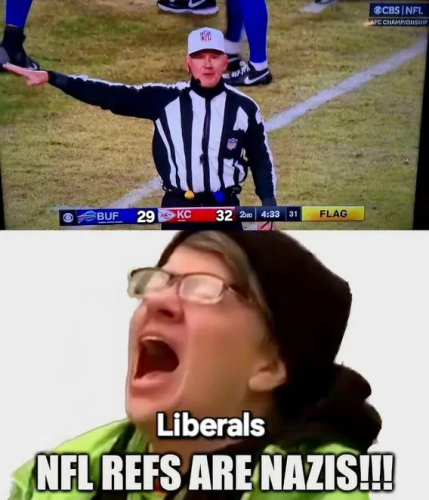 image_2025-01-28_063548983