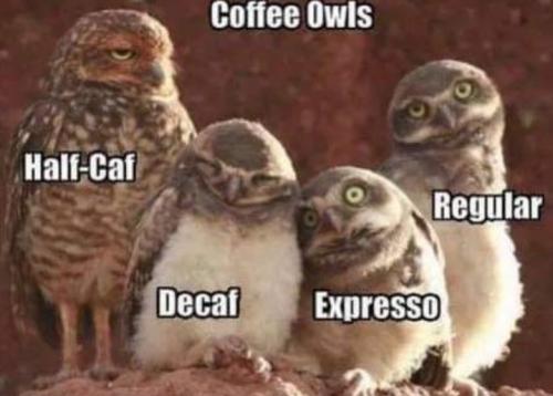 Screenshot_20250114_063919_Gallery