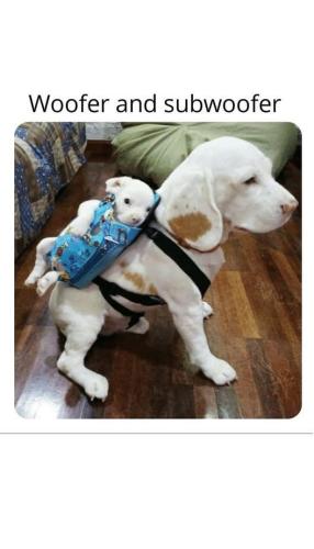 9F5E4E3A-846B-43ED-8B56-74D9A6977DA5