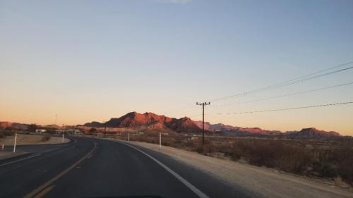 Terlingua,