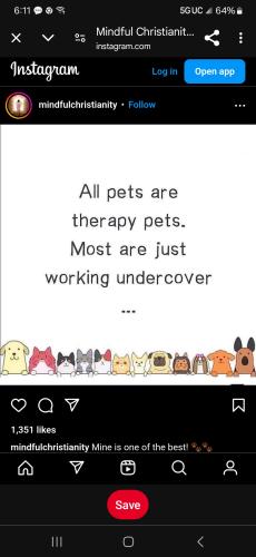 Screenshot_20250108_181141_Chrome