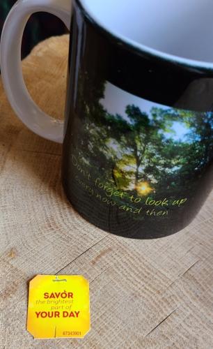 Screenshot_20250101_081621_Gallery