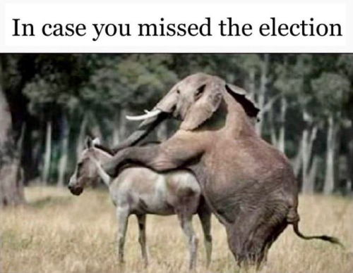 image_2025-01-18_095317653