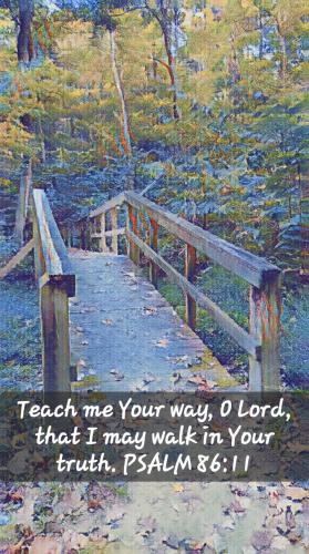 474116533_2068201143639259_8252212573015161430_n