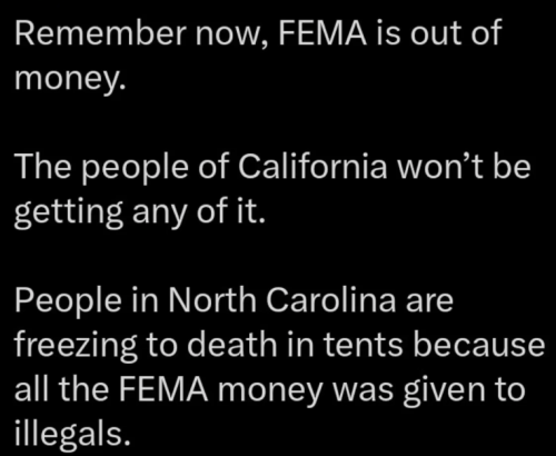 image_2025-01-09_063319909