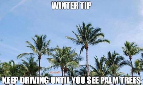 D4BEEA90-42E9-48BF-A932-A65AD26C61A3