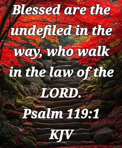 e3dcf8a5-8175-4ed3-a718-7a89a0af48c1