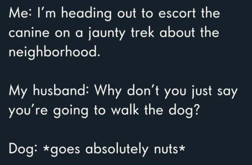 bdd4761fbb068156cf1d3b6f2116c10a