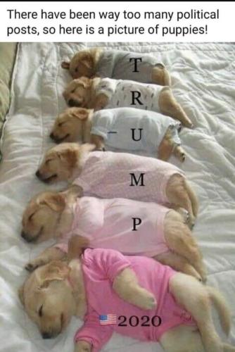 52cf9549b13a9e7e460a0f63be6687b3