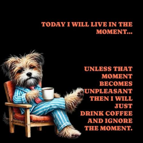 472211454_447191255130755_4867129298959209056_n