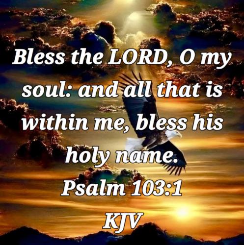 21964fb8-a886-4ae9-a7f8-ff7589a2484b