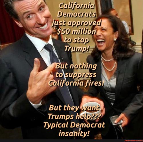 0775b8d718ae9e2fef0125494822df9fb0645537be0c2ecad0b69d9a130d8974_1