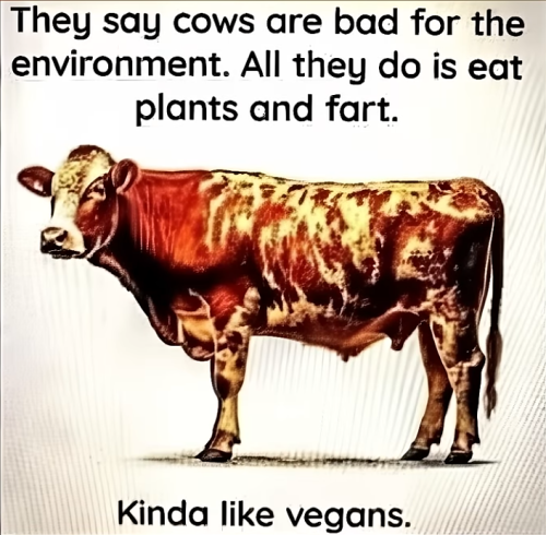 20:38:58 GMT-0600 (CST)