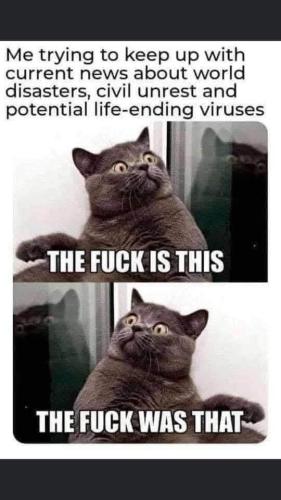 FB_IMG_1736353017188