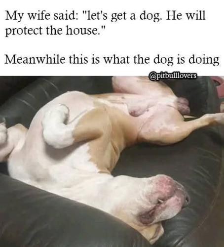 FB_IMG_1737097513402