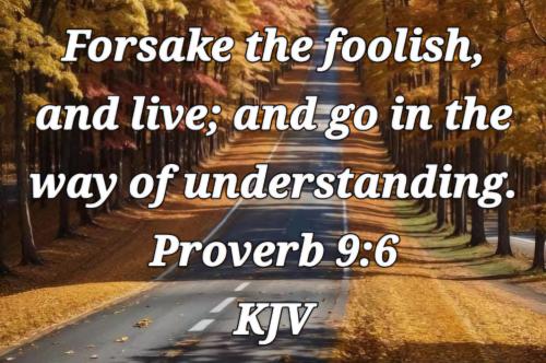 b84737ad-904c-4a56-84f2-9bce0283e6db