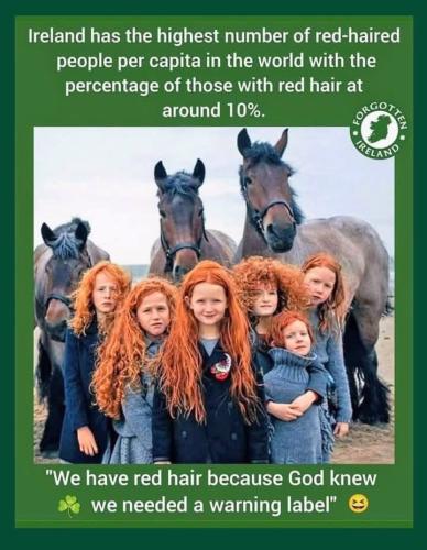 6D732B9A-BFB0-4236-9404-C1EE760CA8BE