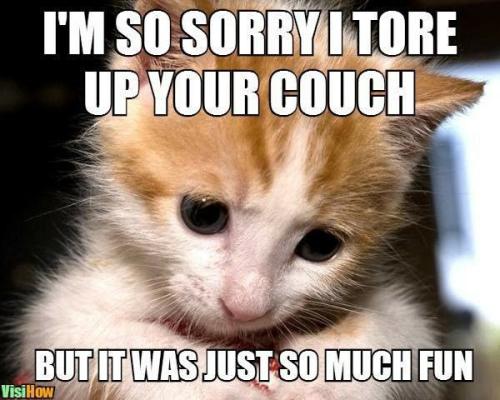 ce934e76371a5474a61579eefdc8649e