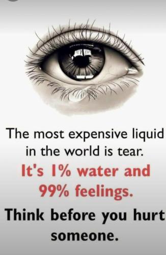 B25ED633-5281-45F3-BD90-C5DEFCC49628