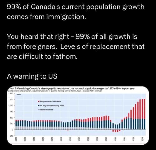 photo_2025-01-05_16-49-18