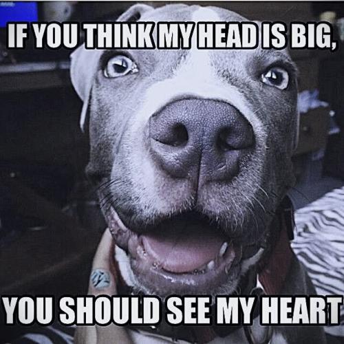 FB_IMG_1737069440385