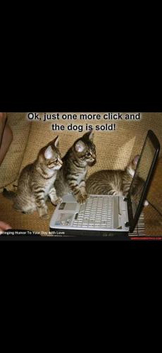 Screenshot_20250115_093714_Gallery