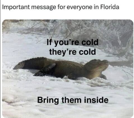 Screenshot 2025-01-22 134109