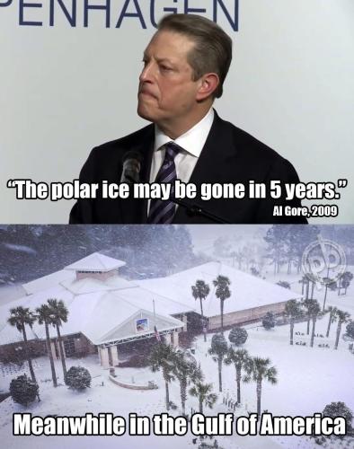 image_1A64A043-0665-4395-8D34-79B3CBA3408F