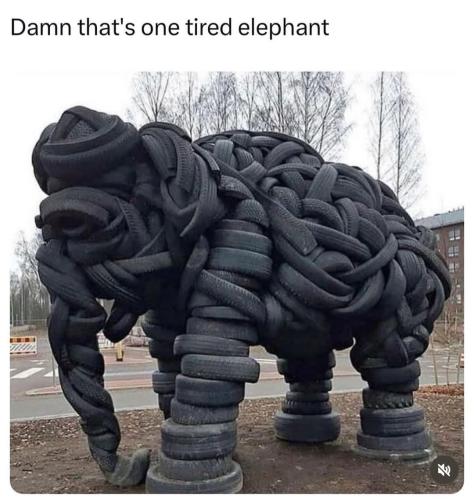 FB_IMG_1736012081107