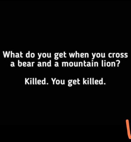 57FD585E-8C0D-44E1-9FE7-D41328E7D919