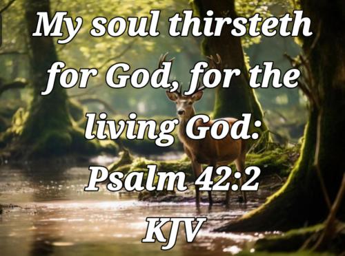 4f9ed499-6763-4e24-be7b-b4b80ba08946