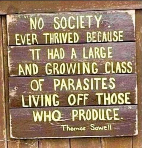 IMG_20250130_163913_107